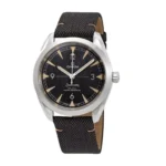Omega Seamaster 220.12.40.20.01.001 Railmaster Black Dial Super Clone